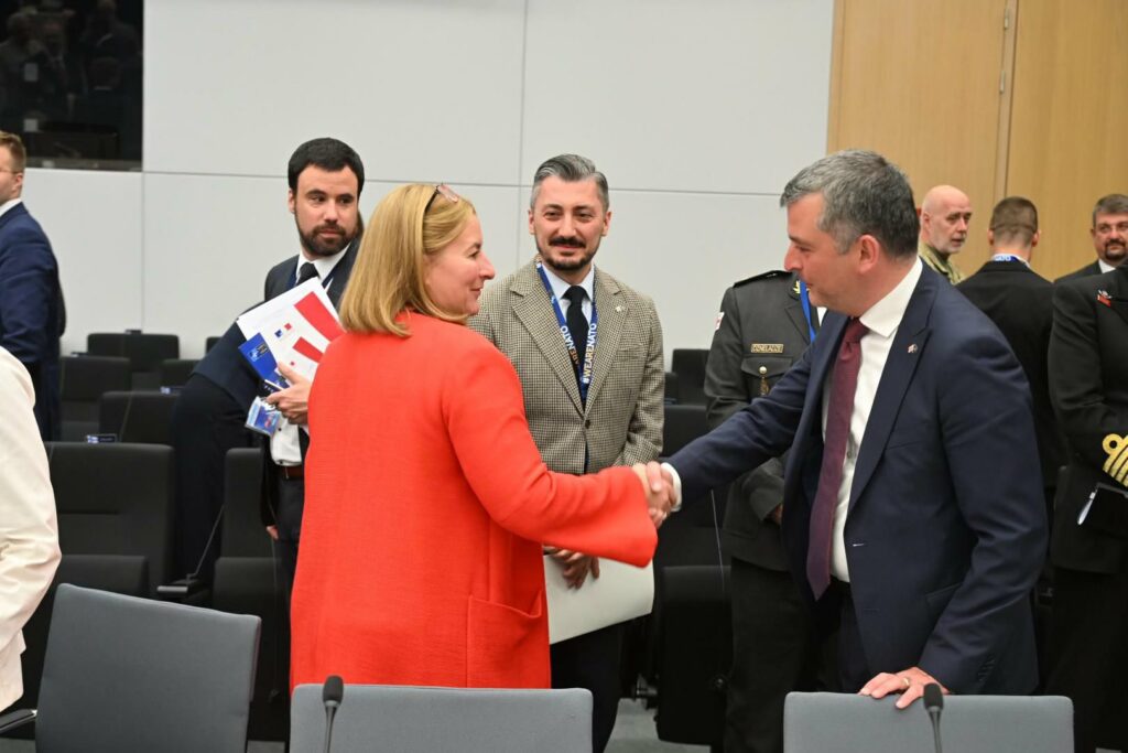 „ქართული ოცნების“ თავდაცვის მინისტრის მოადგილემ რამშტაინის ფორმატის შეხვედრაში მიიღო მონაწილეობა