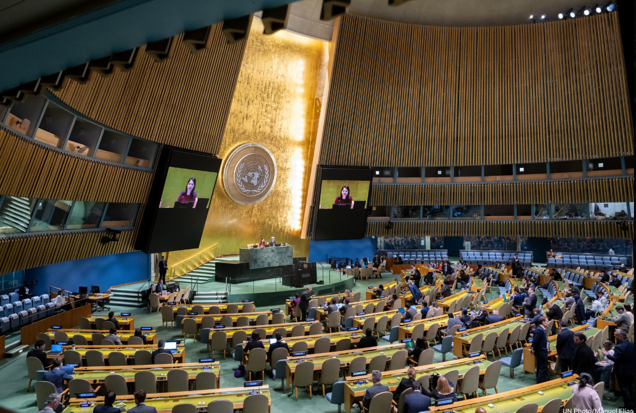 საქართველომ უკრაინელი ბავშვების დაბრუნების შესახებ გაეროს რეზოლუციას მხარი დაუჭირა