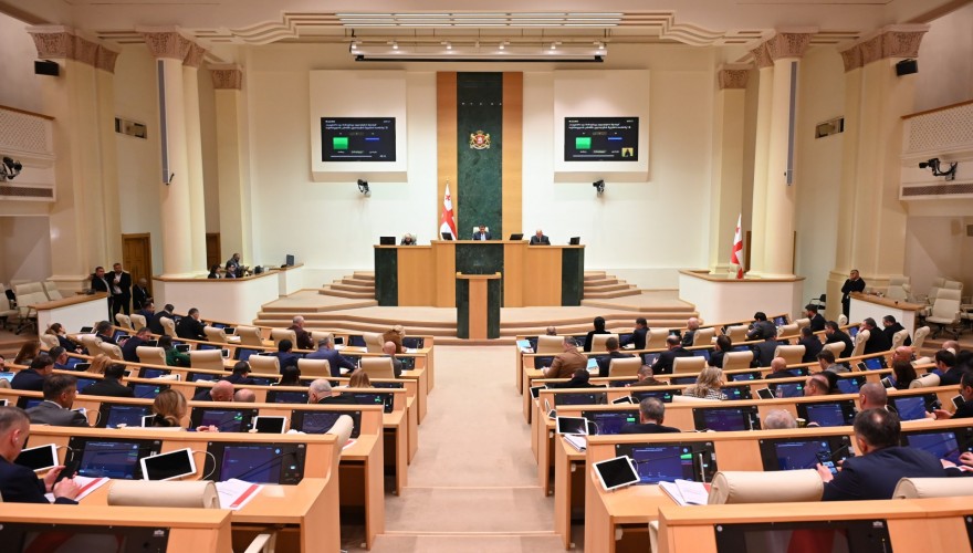 ფსიქიკური ჯანმრთელობის პრობლემების მქონე პირთა შესახებ საინფორმაციო ბაზა იქმნება